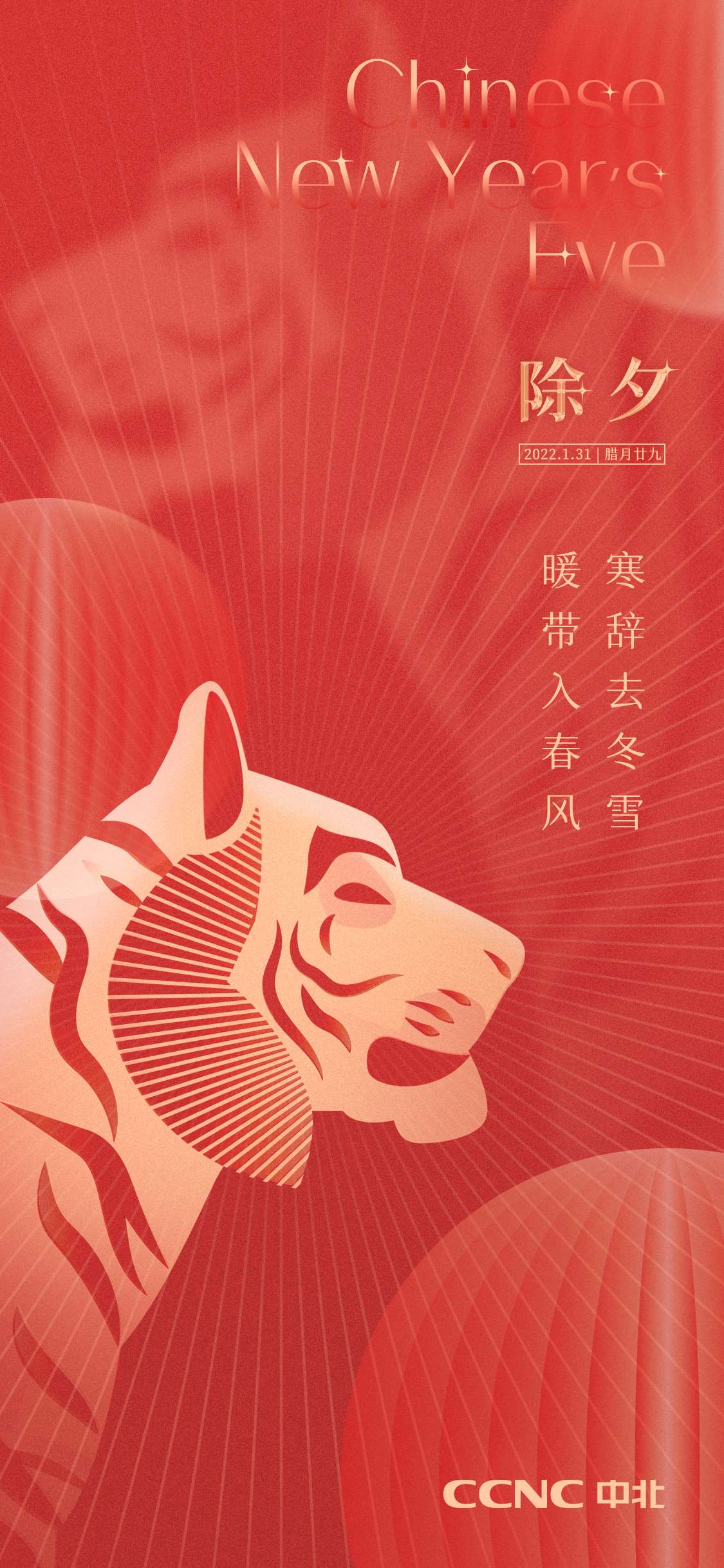 除夕海报（小内存）.jpg